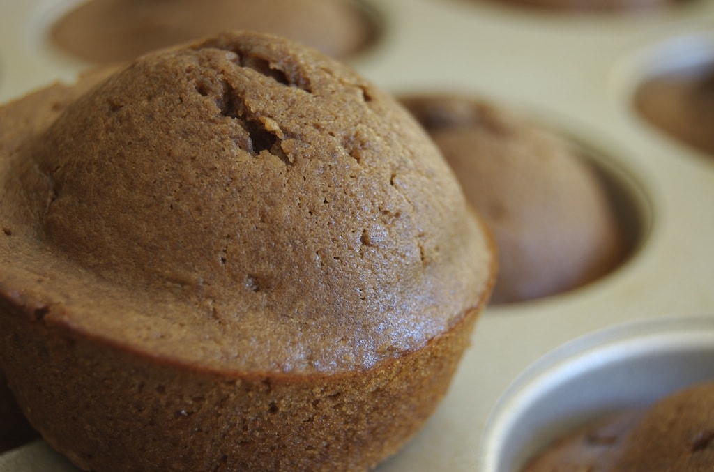 Chocolate Chocolate Chip Muffins | Bake or Break