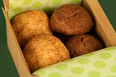 Snickerdoodles & Chocodoodles