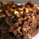 Caramel Coconut Pecan Brownies