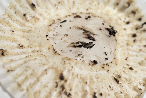 Cookies and cream cheesecake leftovers