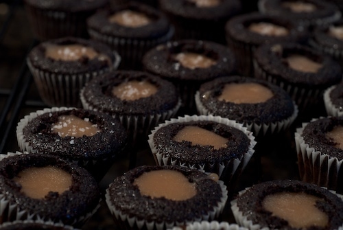 Chocolate Salted-Caramel Mini Cupcakes