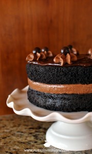 Midnight Sin Chocolate Cake