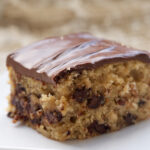 Chocolate Chip Snack Cake