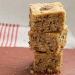 Cinnamon-Sugar Pecan Bars