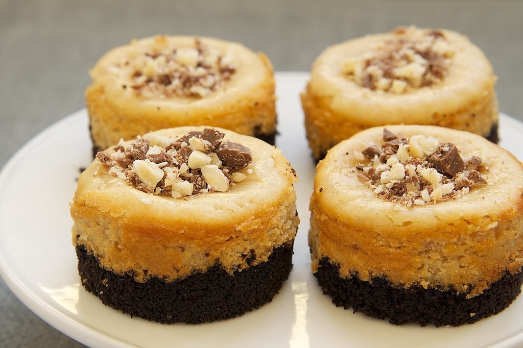 Peanut Butter Mini Cheesecakes with Chocolate Cookie Crust Bake or Break