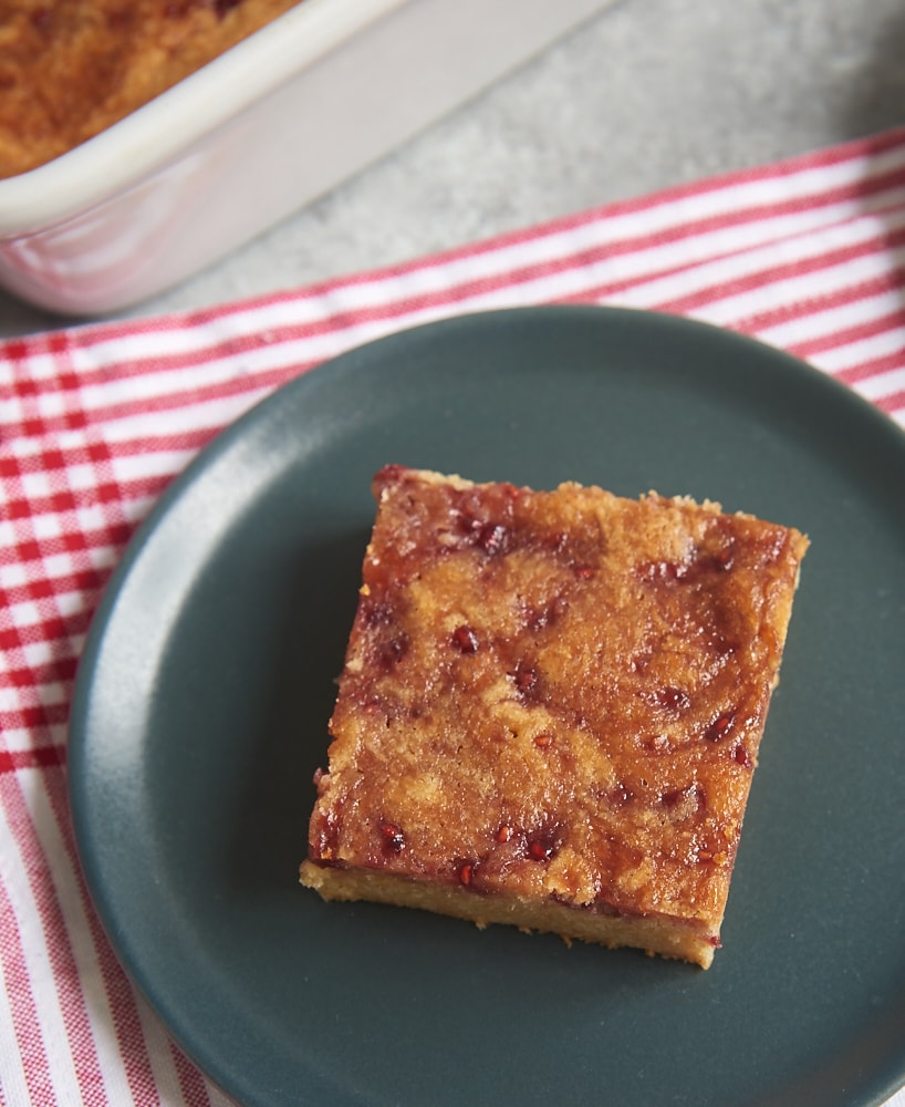 Use your favorite jam or preserves to turn simple blondies into Jam-Swirled Blondies. A sure crowd-pleaser! - Bake or Break