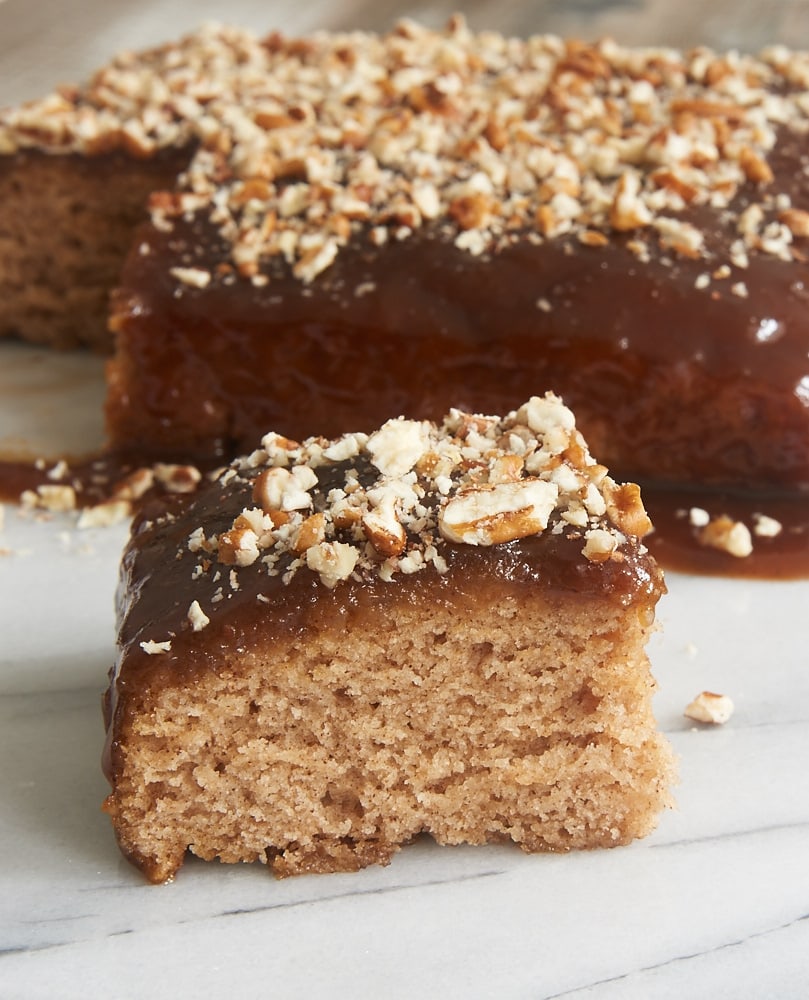 Cinnamon Pudding Cake Bake or Break