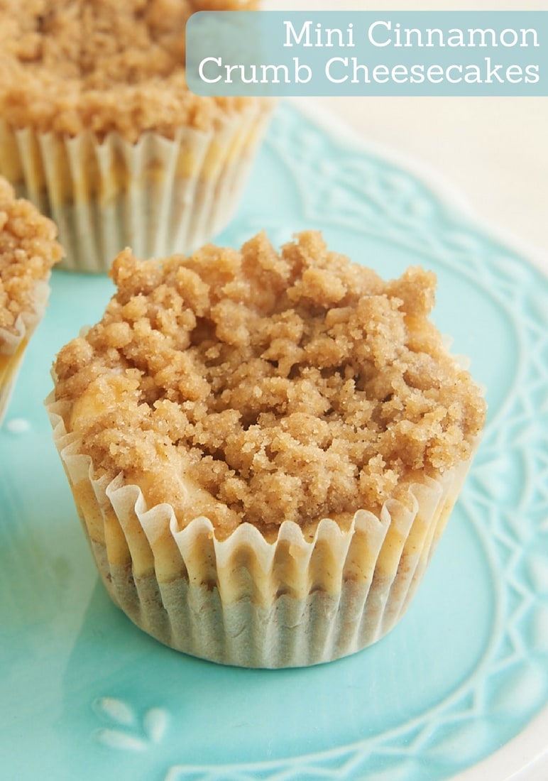 Mini Cinnamon Crumb Cheesecakes are bite-size treats full of fantastic cinnamon flavor. - Bake or Break