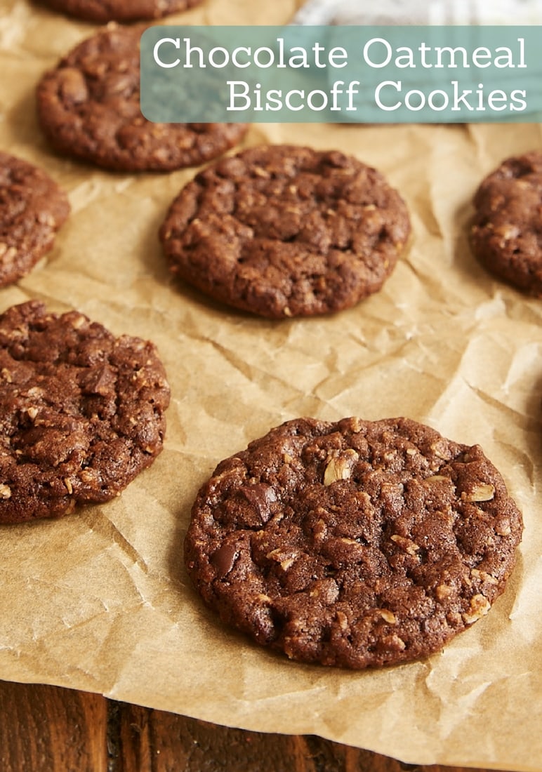 Plenty of chocolate and a hint of spice make these Chocolate Oatmeal Biscoff Cookies irresistible! - Bake or Break